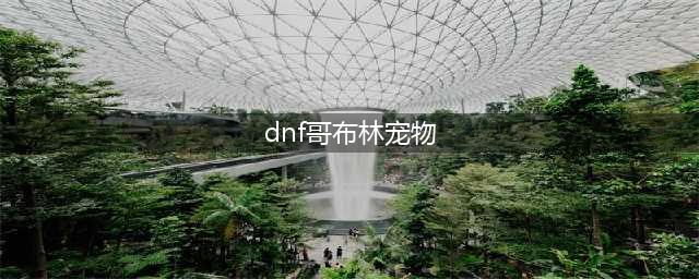 《DNF》手游宠物精灵哥布林特点分析 精灵哥布林属性介绍(dnf哥布林宠物)