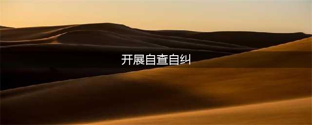 坚持问题导向 开展自查自纠(开展自查自纠)