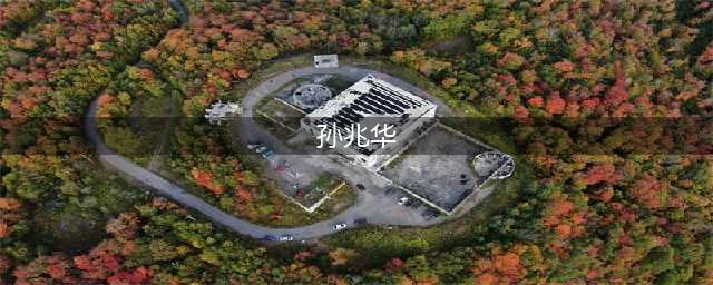 01年芜湖女局长被捅27刀身亡，主凶竟是市政法委书记，有何仇怨？(孙兆华)
