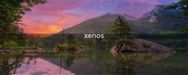 《叛乱沙漠风暴》Xenos Injector怎么解决 XenosInjector解决办法介绍(xenos)