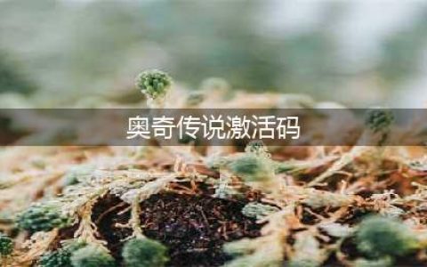 《奥奇传说》2021最新免费礼包码分享 2021可用激活码大全(奥奇传说激活码)