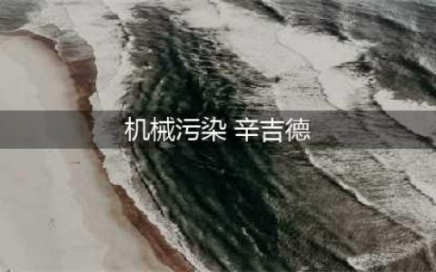 《lol》炼金术师机械污染有没有特效(机械污染 辛吉德)