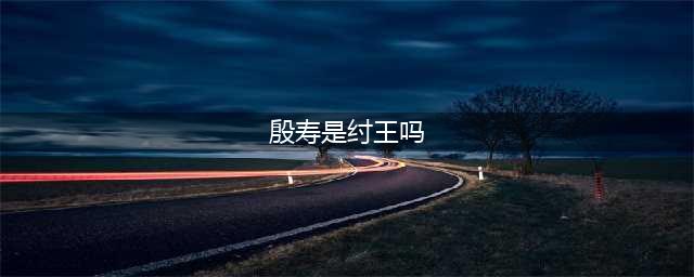 纣王叫帝辛还是殷寿？——探讨历史记载中的疑问(殷寿是纣王吗)