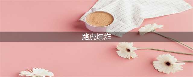 路虎爆炸案的官方原因出来了，你怎么看？(路虎爆炸)