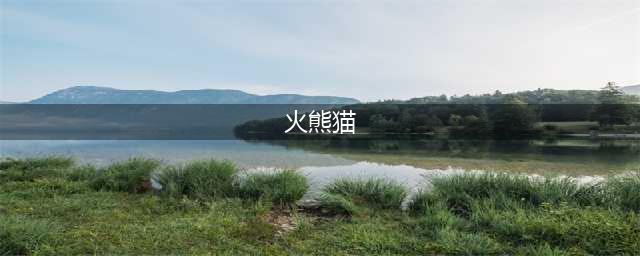 《魔灵召唤》火熊猫攻略 火熊猫怎么样