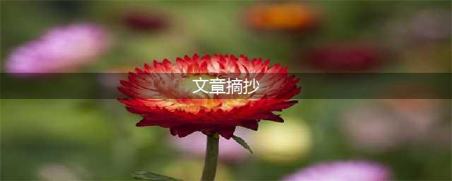 名家散文精彩段落摘抄(文章摘抄)