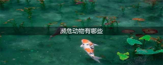 世界上濒临灭绝的29种珍稀动物，你知道几个呢？(濒危动物有哪些)