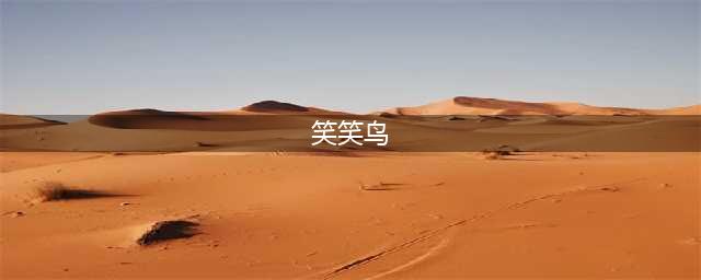 笑笑鸟好玩吗 笑笑鸟玩法简介