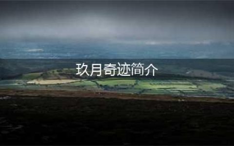 玖月奇迹好玩吗 玖月奇迹玩法简介(玖月奇迹简介)