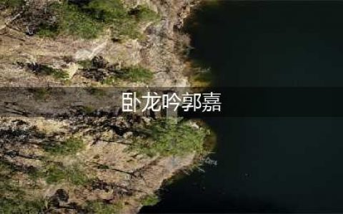 《卧龙吟2》郭嘉阵容搭配攻略 郭嘉阵容怎么搭配(卧龙吟郭嘉)
