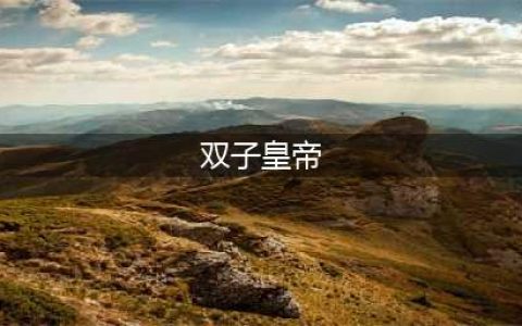 《魔兽世界》怀旧服双子皇帝怎么打 双子皇帝打法攻略(双子皇帝)