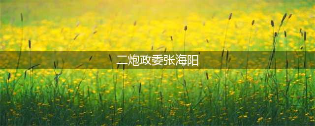 满门将星 四子全将军:含原二炮政委张海阳上将(二炮政委张海阳)