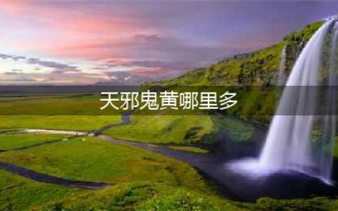 《阴阳师》天邪鬼黄哪里刷得快 天邪鬼黄哪里多(天邪鬼黄哪里多)
