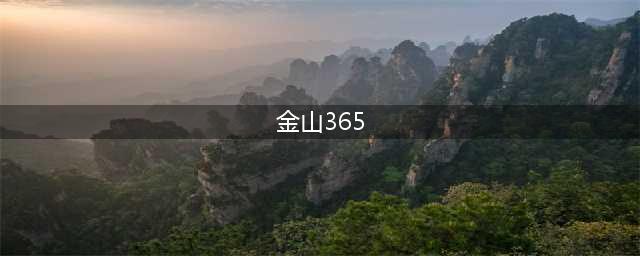 AI办公时代来临！全新WPS 365打造“企业大脑”，金山办公To B业务打开成长天花板(金山365)