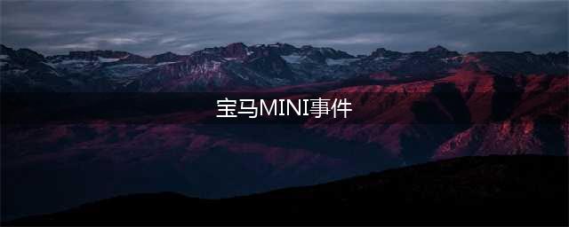 面临37.6%高关税，宝马被曝寻求降低中国产电动MINI COOPER进口税率(宝马MINI事件)