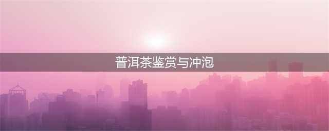 普洱茶怎么鉴赏和冲泡(普洱茶鉴赏与冲泡)