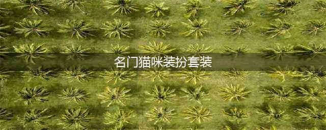 《dnf》名门猫咪套装怎么样 名门猫咪套装属性选择