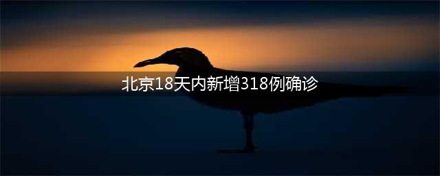 北京18天内新增318例确诊病例(北京18天内新增318例确诊)