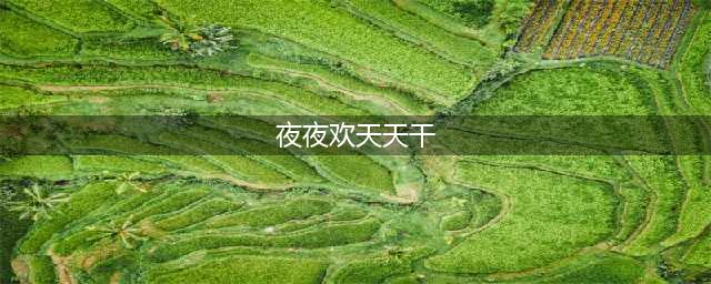 【夜色·美女·啤酒·狂欢】实拍时下的夜店生活：男男女女夜夜狂欢，释放过剩的激情(夜夜欢天天干)