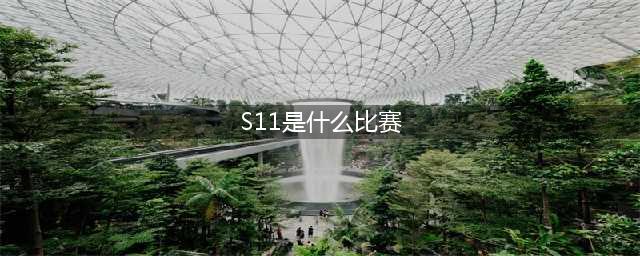 LOLs11是什么意思(S11是什么比赛)