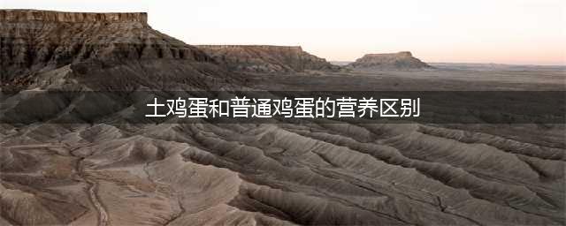 土鸡蛋比普通鸡蛋更有营养？可从2方面分析，答案或与你想得不同(土鸡蛋和普通鸡蛋的营养区别)