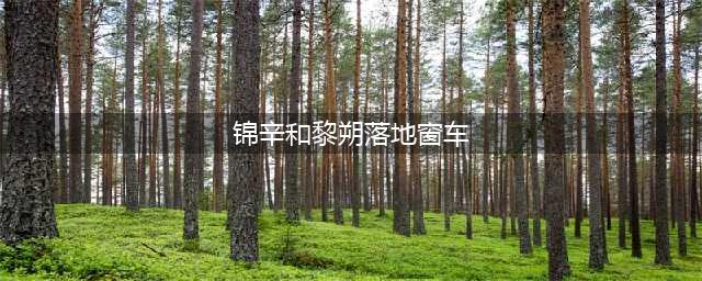 谁把谁当真：黎朔病弱沉沦，锦辛化身行走马赛克，开启特殊治疗(锦辛和黎朔落地窗车)