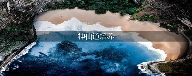 神仙道怎么培养渡劫 培养渡劫方法