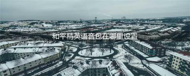 《和平精英》语音包在哪里设置 语音包设置教程