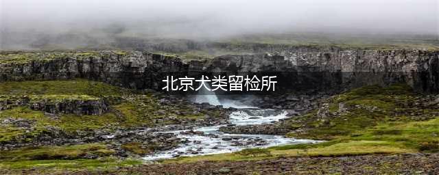 北京有哪些养犬规定:北京有个犬类留检所(北京犬类留检所)