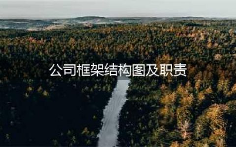 公司组织架构图及岗位职责(公司框架结构图及职责)