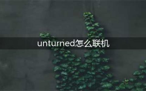 未转变者unturned怎么联机 未转变者联机方法教程(unturned怎么联机)