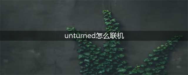未转变者unturned怎么联机 未转变者联机方法教程(unturned怎么联机)