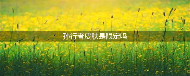 猴子新皮肤孙行者是限定吗