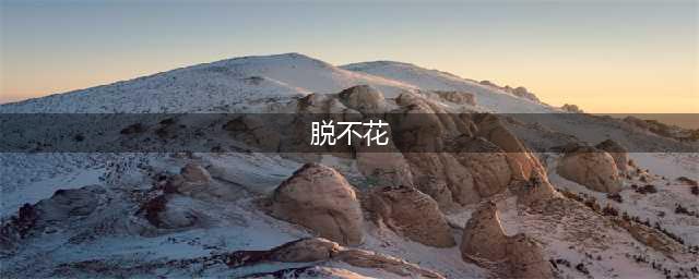 脱不花：17岁辍学，19岁当董事长，罗辑思维CEO的江湖法则(脱不花)