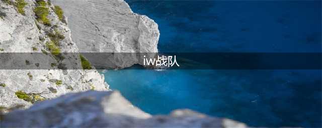 《LOL》2021MSI季中赛IW战队一览(iw战队)