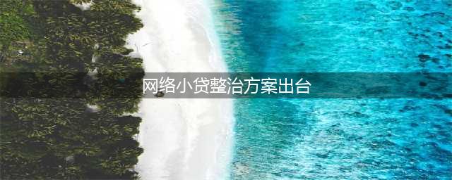 网络小贷整治方案出台 严查11个方面(网络小贷整治方案出台)