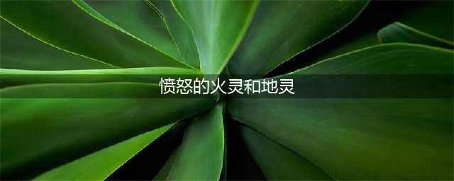 影月谷愤怒的火灵和地灵任务怎么做？灵魂图腾有什么用？