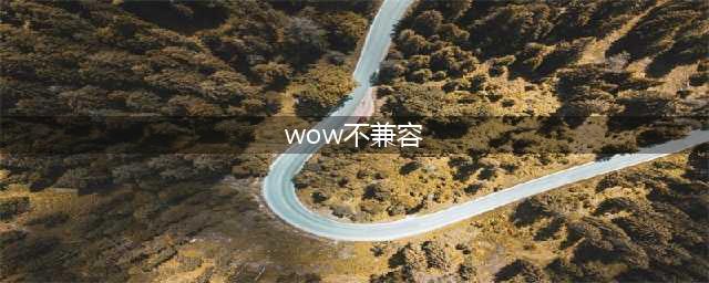 《魔兽世界》服务器不兼容怎么解决 服务器不兼容解决方法(wow不兼容)