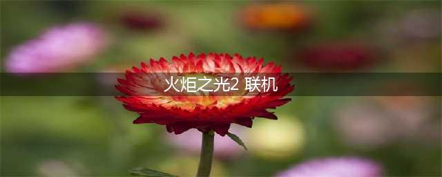 《火炬之光2》如何联机 联机方法分享(火炬之光2 联机)
