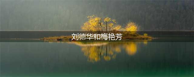 刘德华梅艳芳20年情全回顾：暗恋情人或好友？他们到底有多暧昧？(刘德华和梅艳芳)