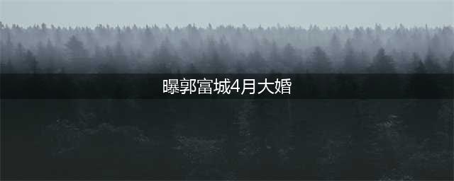 曝郭富城4月大婚 粉丝刷屏终于找到合适的鞋了(曝郭富城4月大婚)