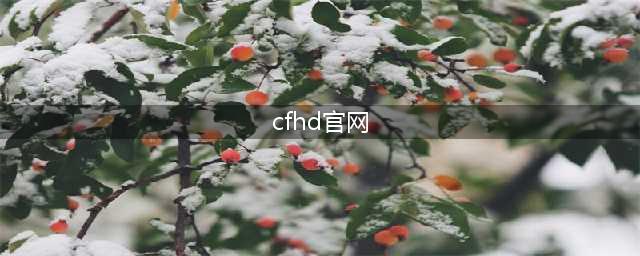 《CF》HD官网是什么 HD官网预约地址分享(cfhd官网)