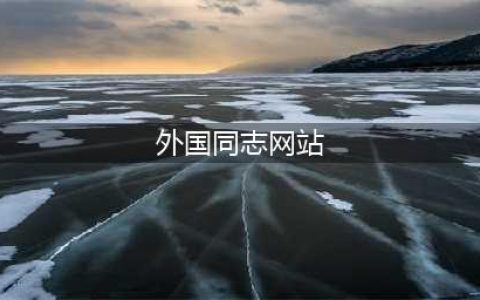 全球最大同性交友APP，这年头找对象谁都不容易(外国同志网站)