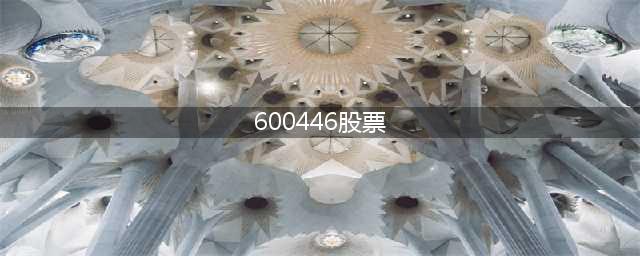 股票代码：600446 股票简称：金证股份 公告编号：2024-010(600446股票)
