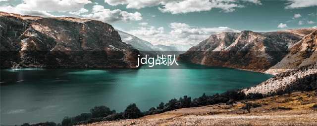 《LOL》LPL2020春季赛JDG战队资料 JDG战队成员名单(jdg战队)