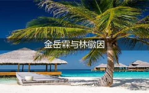 金岳霖与林徽因 ：一生恋一人，便是一座城(金岳霖与林徽因)