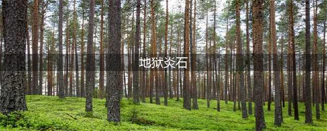 怪物猎人世界狱炎石怎么获得 狱炎石获取方法(地狱炎石)