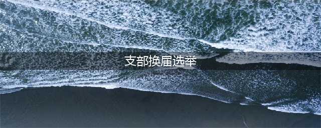 我中心党支部换届选举工作顺利完成(支部换届选举)