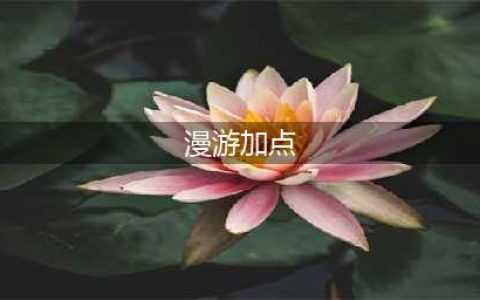 《​dnf》手游漫游怎么加点 漫游加点攻略(漫游加点)