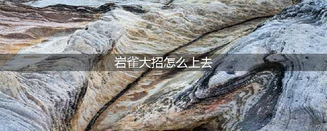 《英雄联盟》11.19打野岩雀怎么玩 岩雀高胜率教学(岩雀大招怎么上去)